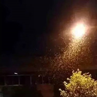 白蟻危害大，4-6月份進(jìn)入其活躍期 防治白蟻不容忽視！